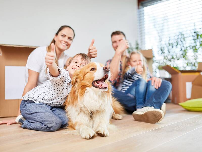 Eine Familie sitzt glücklich mit einem Hund auf dem Boden, umgeben von Umzugskartons, und zeigt den Daumen nach oben.