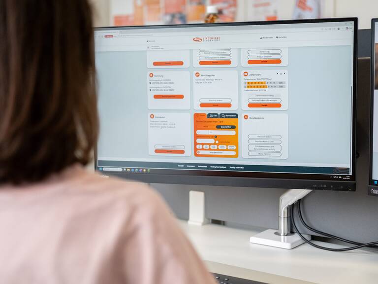 Eine Person sitzt vor einem Computerbildschirm, der eine Webseite mit mehreren farblich hervorgehobenen Informationsblöcken anzeigt.